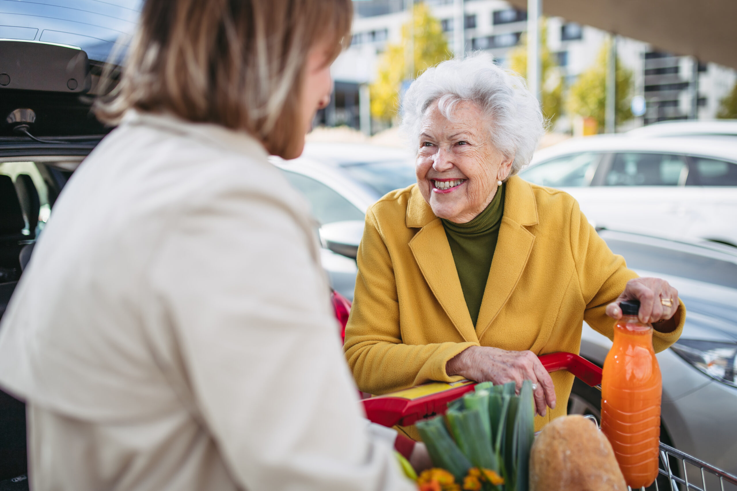Compassionate home care services in Potomac MD supporting seniors with errands, grocery shopping, and daily living needs